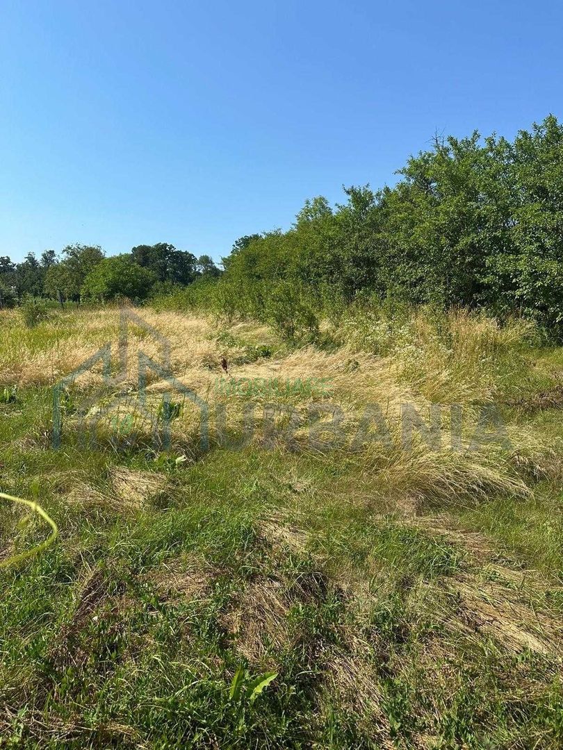 Casă tradițională cu anexă, beci și teren de 5700 mp, deschidere la drum principal, învecinată cu pădurea Bârnova, localitatea Pădureni, com. Grajduri, la 19 km de Iași - Poză 6