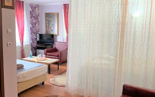 Proprietate in incantarea naturii, oportunitate investitie/rezidential, Predeal - Poză 22