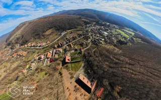 Proprietate pretabila pentru afacere, Cladova - Poză 39