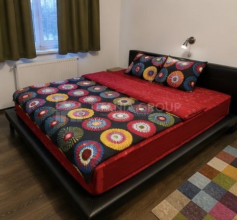 Vila 5 camere partial mobilata, curte 400 mp, garaj BUNLOC  Pet Friendly - Poză 3