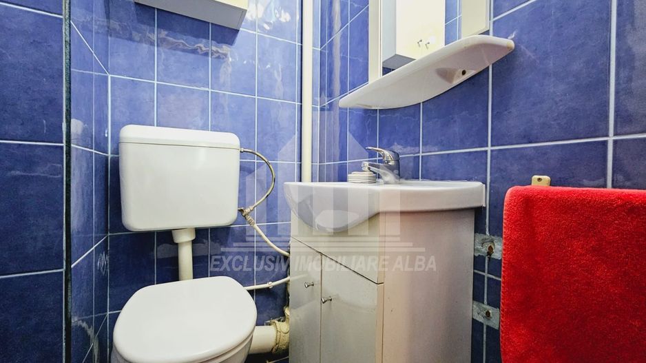 Apartament cu 4 camere decomandate, Cetate - Poză 4