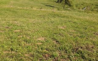 Teren intravilan 500 mp cu utilitati-ideal cabana, investitie-Colibita - Poză 3