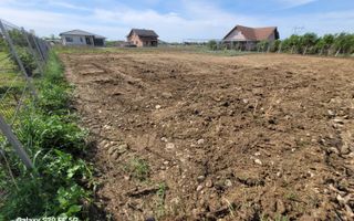 Teren intravilan  13 ari  Catallina - Poză 7