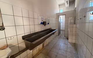 Spații de birouri-Zona de Vest - Poză 10