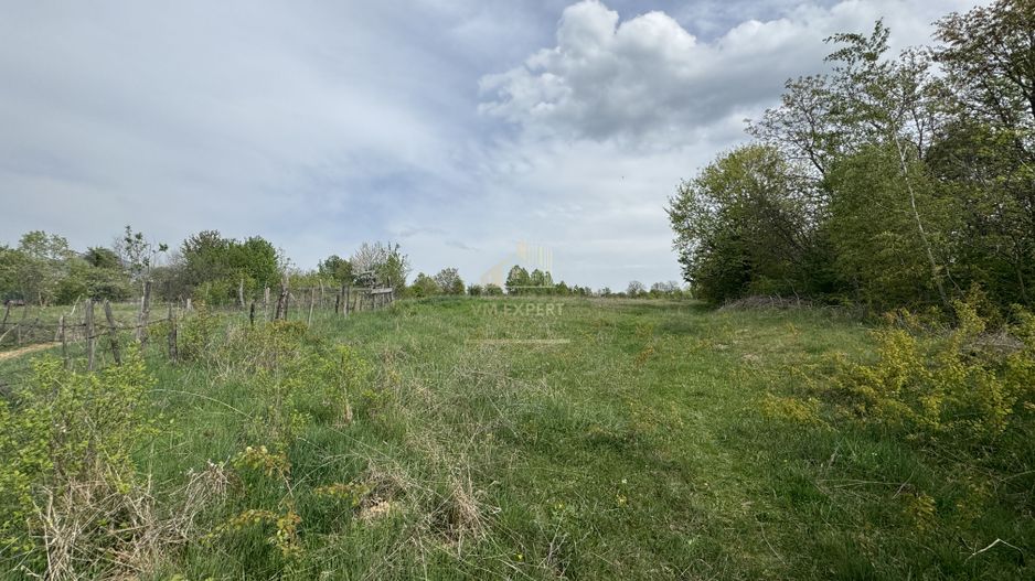 TEREN INTRAVILAN, 7472 MP, VALEA MARE PRAVAT, ARGES - Poză 6