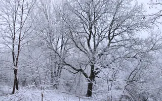 Teren de vanzare I izvor apă minerală  Dangești I 2 Hectare - Poză 35