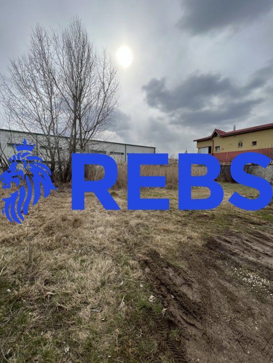 Teren 1000 metri Pantrelimon | Selgros | Rascoalei - Poză 3