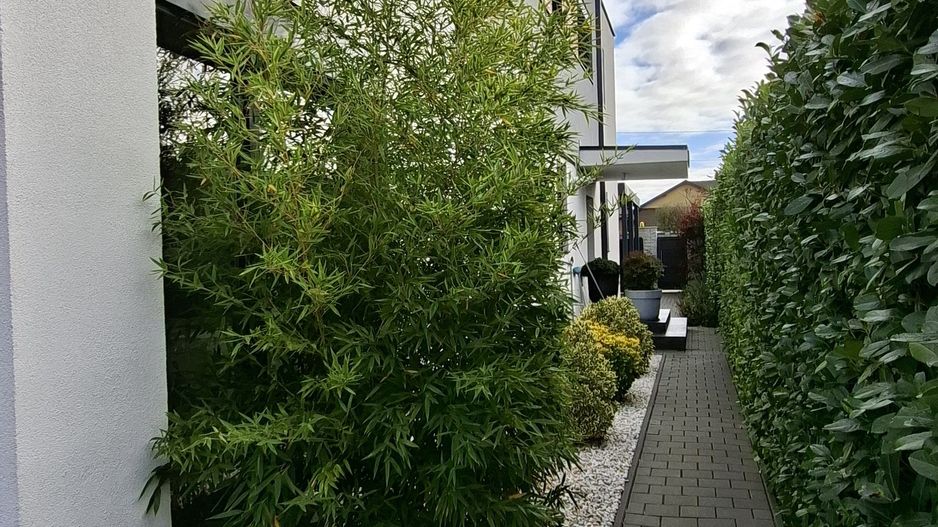 Casa mobilata si utilata cu teren de 432mp - Poză 37