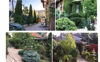 Vila interbelica de LUX consolidata integral, Matei Basarab, Traian - Poză 32