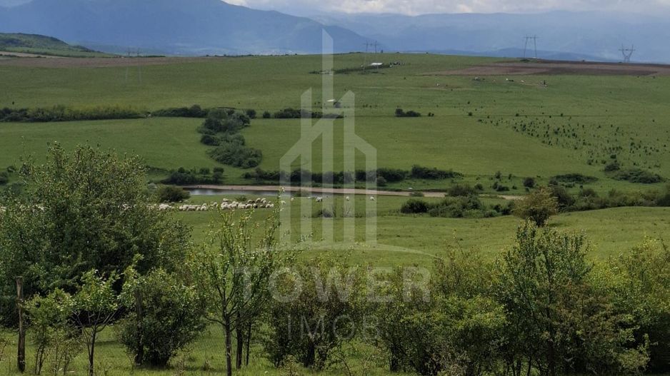 De vanzare, teren 11.500 mp – Dealul Dăii,  Vedere panoramică spre munți și lac - Poză 10