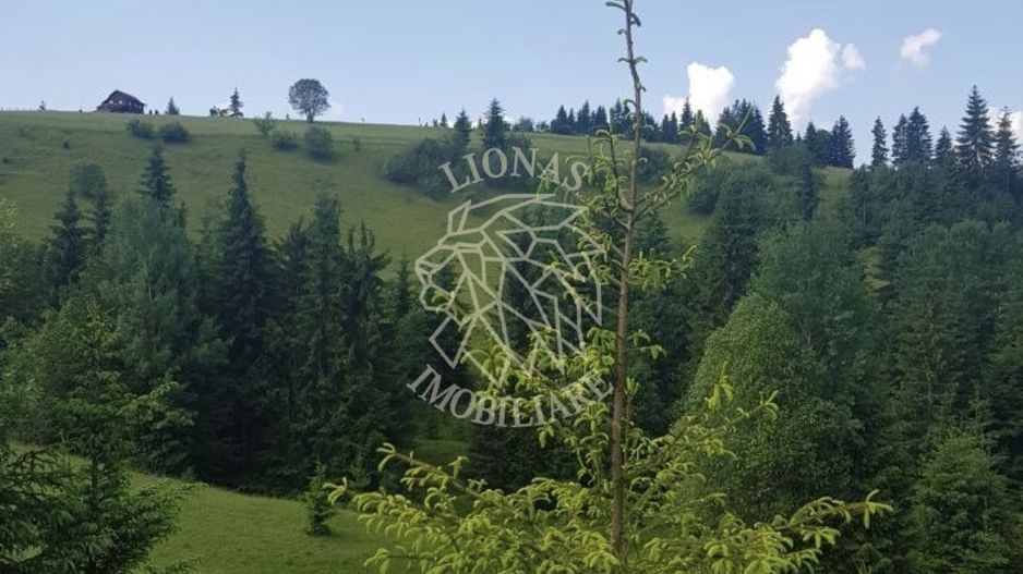 Teren 2,3ha si Padure 1ha-zona deosebita-Pasul Tihuta-EXCLUSIV - Poză 3