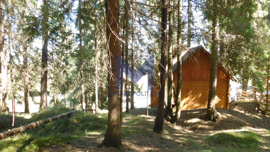 Casă de vacanta de vanzare, in Marisel, langa Cabana Motilor - Poză 53