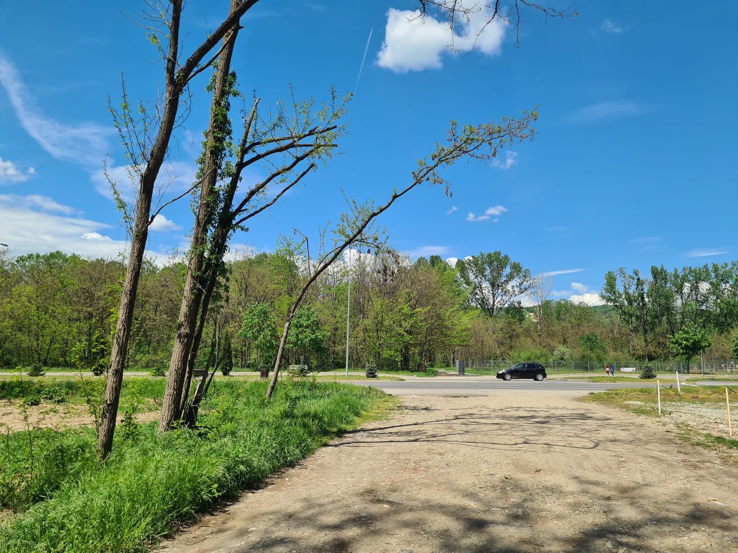 Teren de vanzare / Dem Radulescu - Poză 1