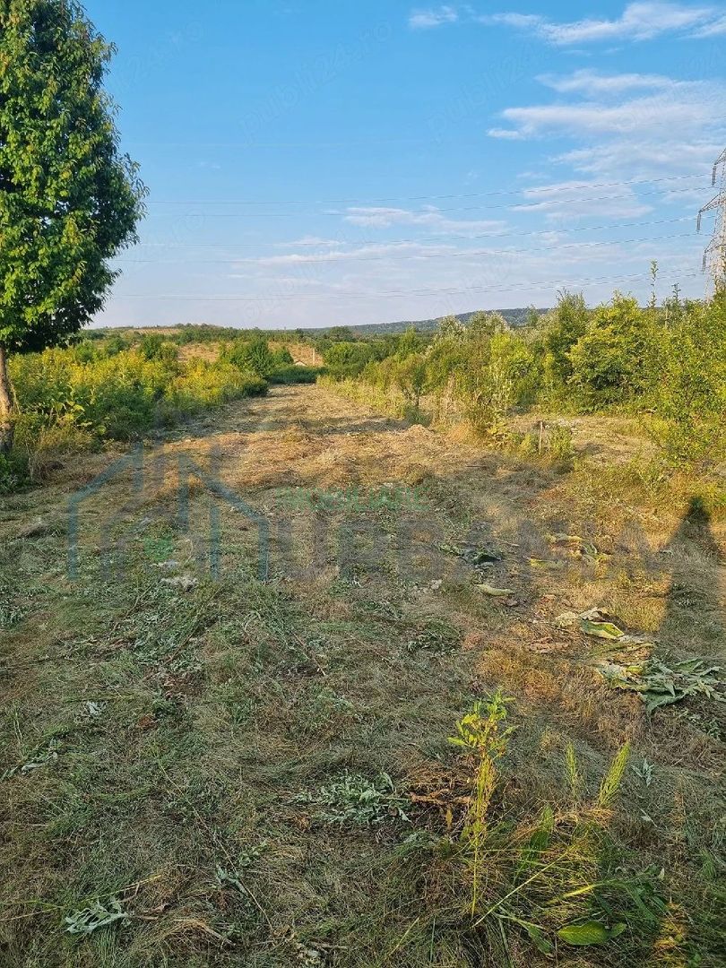 Teren intravilan de vânzare în Curături, comuna Ciurea, Iași - 4.000 mp - Poză 3