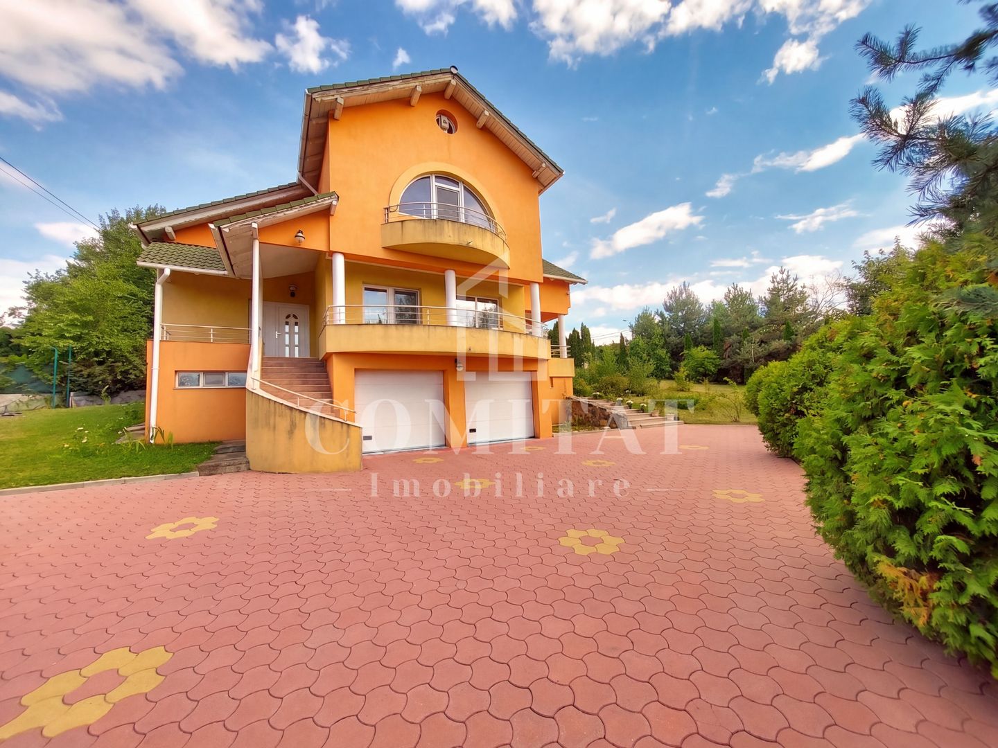 Vilă în Făget | Sediu companie | 2.412 mp teren 8 parcări - Poză 1