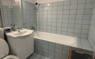 Apartament 3 camere pet friendly, 2 bai, zona Diham-Basarabia, 2 dressing-uri - Poză 8