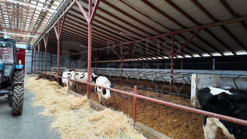 Vânzare, spațiu industrial, Raionul Glodeni, Satul Hîjdieni - Poză 3