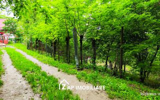 Teren Platou - 1613 mp - cu căbănuță intabulată– vedere panoramica - Poză 7