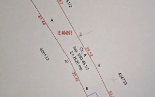 Casă individuală Dudeștii Noi | 2.526 mp teren | Pivniță - Poză 9