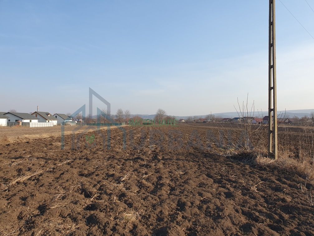 Teren intravilan Holboca 1624mp - Poză 2