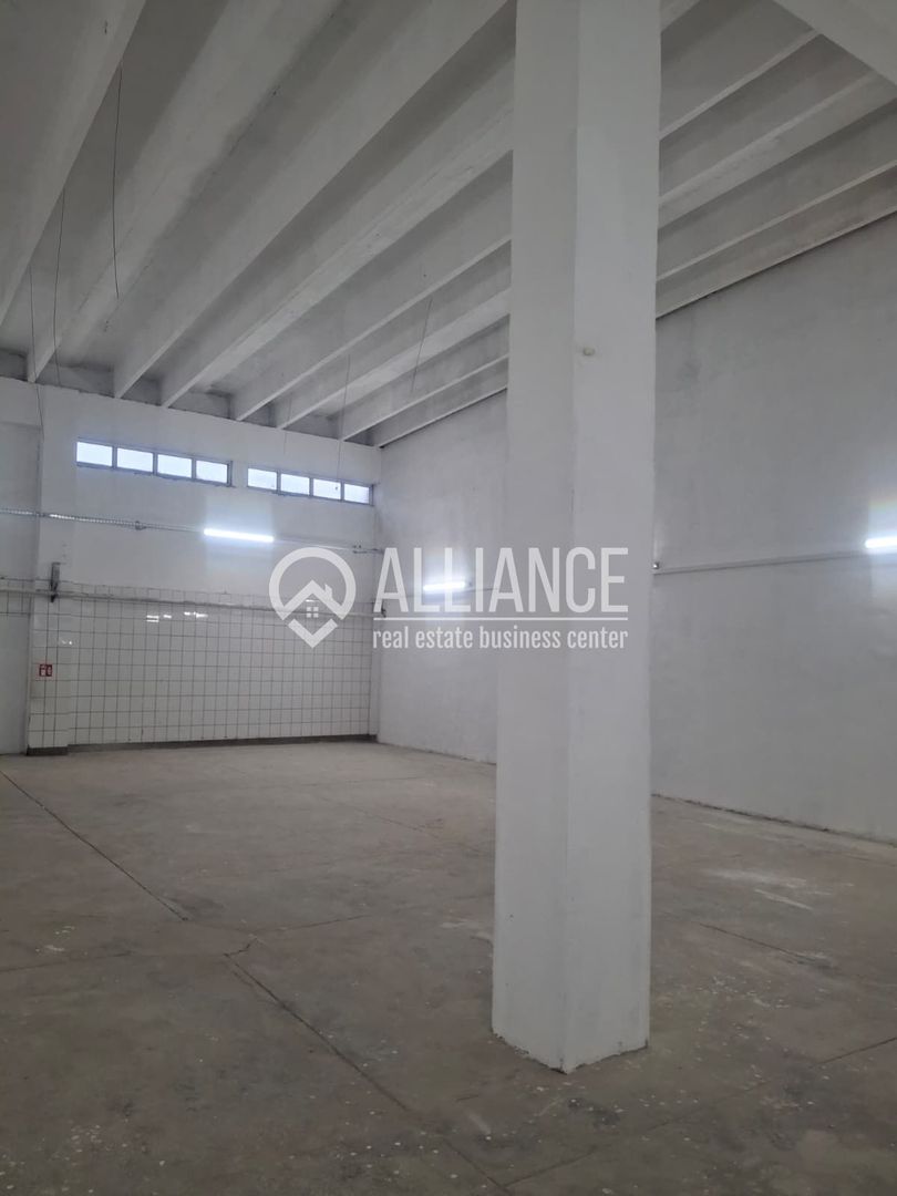 ZONA INDUSTRIALA (COD04)-Hala 270 mp ideal service auto - Poză 6