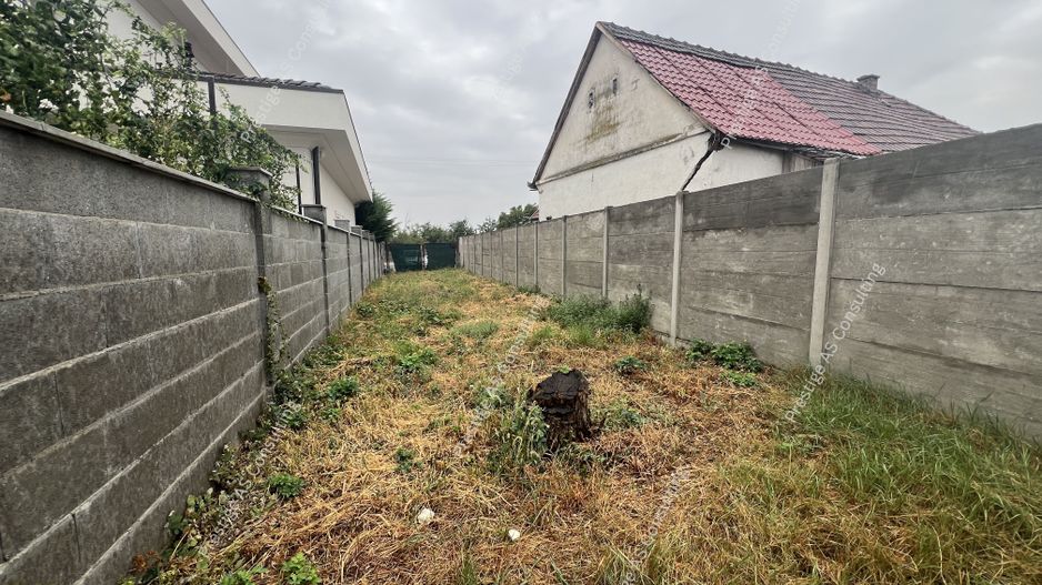 Teren 1409mp | Drum acces 4.6ml | Ghiroda-Scoala Gimnaziala - Poză 3