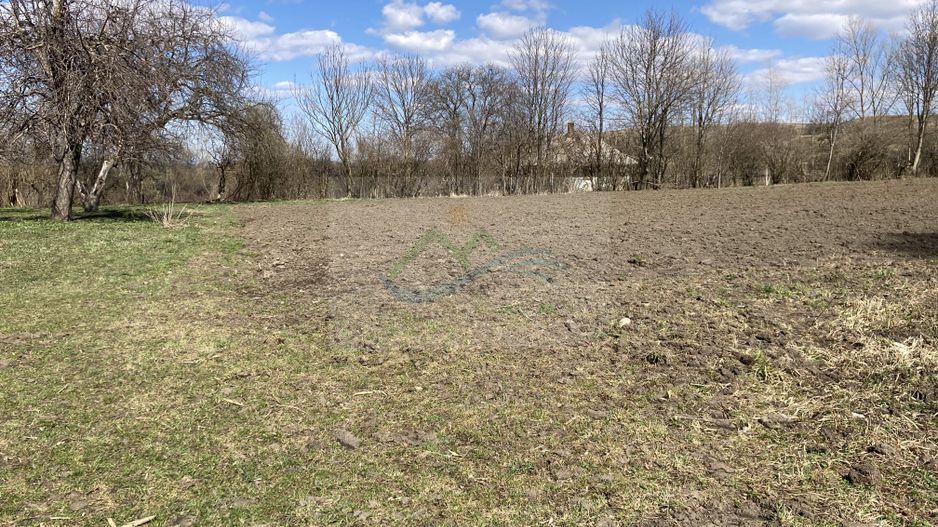 Teren Intravilan 3200 mp de vânzare - Poză 12