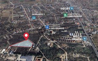 Teren 19.470 mp, investitie ideala, Green City -1 Decembrie, Ilfov - Poză 3