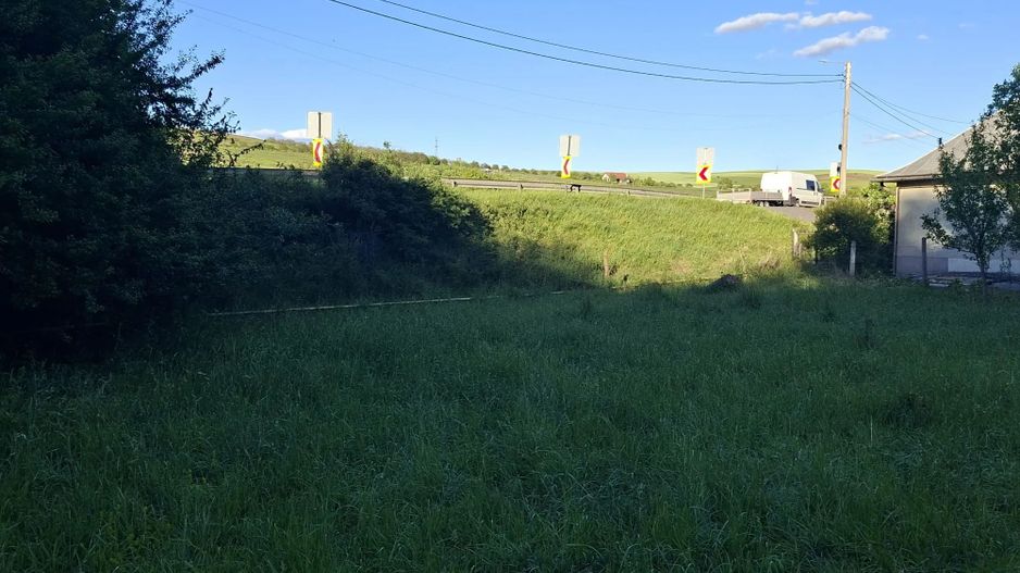Teren de vanzare in Martinesti - Poză 1