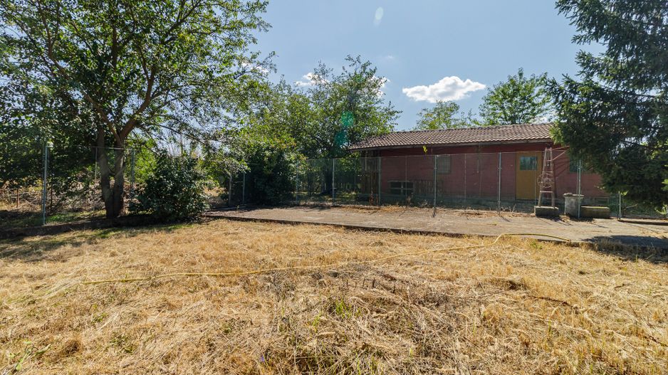 Domeniu privat 5.000 mp, cu reședință de 625 mp și piscină, Corbeanca - Poză 42