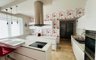 Vila remarcabila+casa boiereasca,in pretios areal de 2.100 mp, Santana de Mures - Poză 3