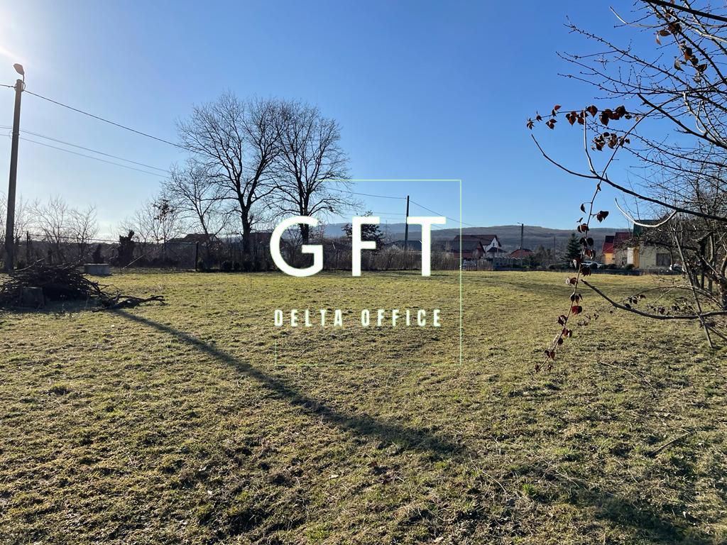 EXCLUSIVITATE! CASA+4300 MP TEREN DE VANZARE. - Poză 6