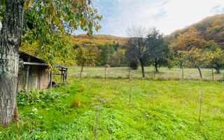 Casa + teren 1700 mp langa Padure Bran/ Predelut - Poză 3