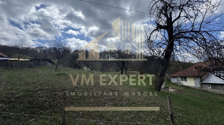 TEREN INTRAVILAN 4365 MP POENARII DE MUȘCEL  JUDEȚUL ARGES - Poză 5