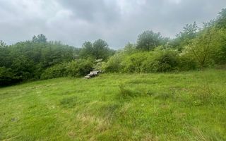 Teren Extravilan 4.572mp | Zonă liniștită | Sadu - Poză 14