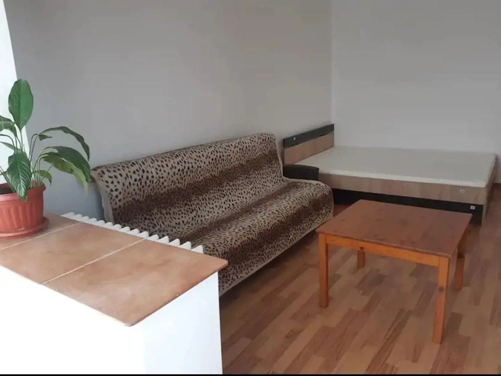 Apartament 1 camera zona Buziasului - Poză 3