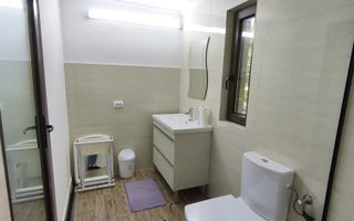 Casă P+1 de vânzare în Cicârlău – zonă superbă, 11 ari teren! - Poză 7