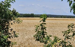 Vanzare Teren Intravilan Buftea, 750mp, str. Ulmului, Pista Biciclete - Poză 9