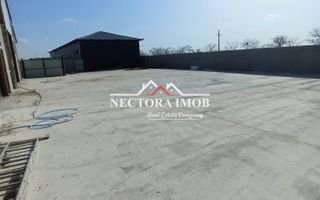 NECTORA IMOB-4 hale industriale noi, Zona Livada de Bihor, Curte mare - Poză 2
