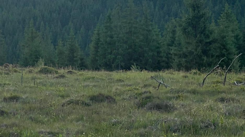 50 hectare teren | Moldova-Sulita | Potential turistic si agricol - Poză 16