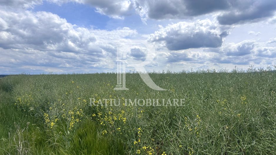 Teren Extravilan | Oportunitate de investiție | Bihor - Poză 1