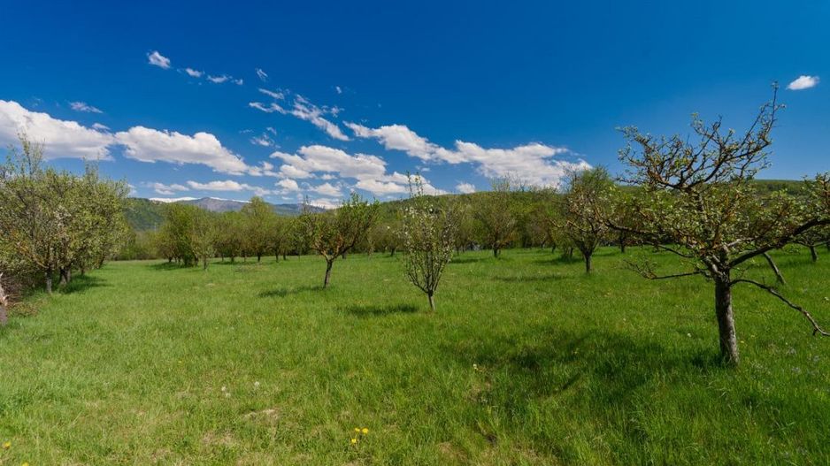 Casa Valea Mare Pravat (Campulung-Arges ) - farmec interbelic - Poză 3