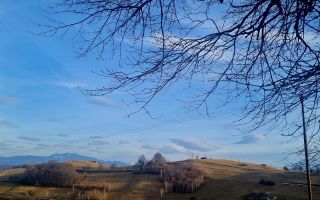 Oaza de liniste si frumusete, reconectare cu natura, 16.000 mp, Poiana Marului - Poză 18