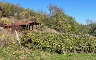 Teren intravilan 2700 mp/ Viisoara - Poză 1