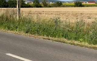 Terenuri pe șoseaua Brașovului în Bod spre Sanpetru - Poză 14