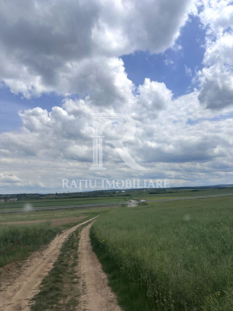 Teren Extravilan | Oportunitate de investiție | Bihor - Poză 3