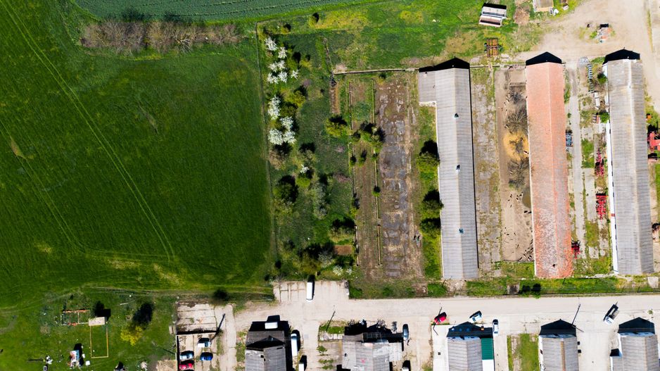 Spațiu depozitare 734mp și teren de 7.844mp Macea - Poză 4