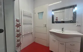 Apartament modern 2 dormitoare+living Nicolina T.Neculai - Poză 20