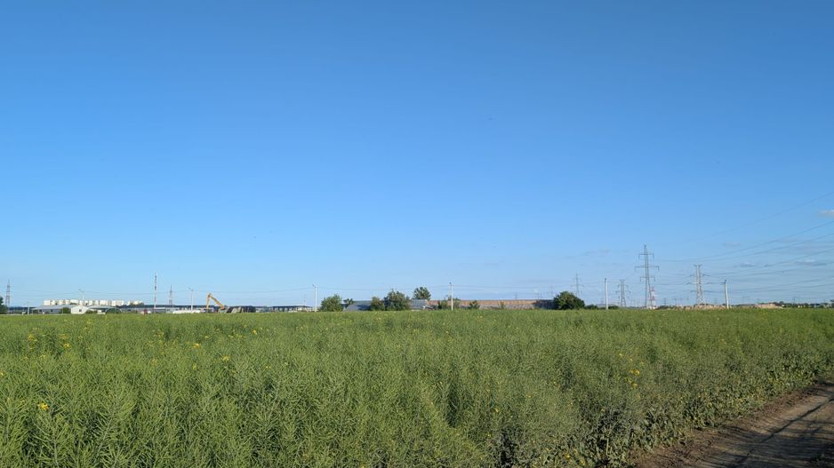 Teren de vanzare Domnești - Str. Narciselor - 20312mp - Poză 6