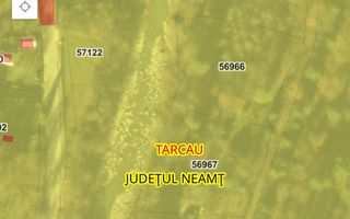 Teren intravilan - comuna Tarcău satul Brates - 3.333mp - Poză 4